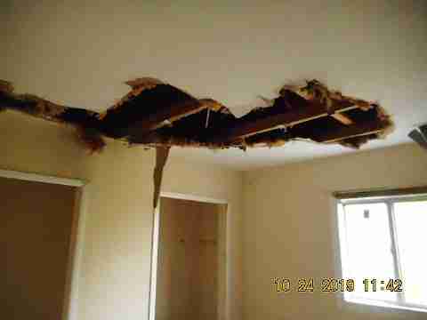 19328 Turner (24)_m.jpg